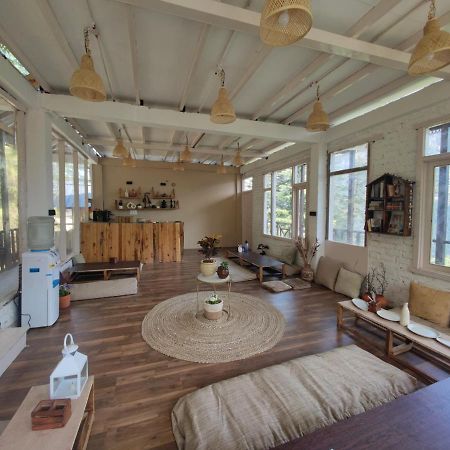 Freebird Nest 2 Stays & Cafe Jibhi Bagian luar foto